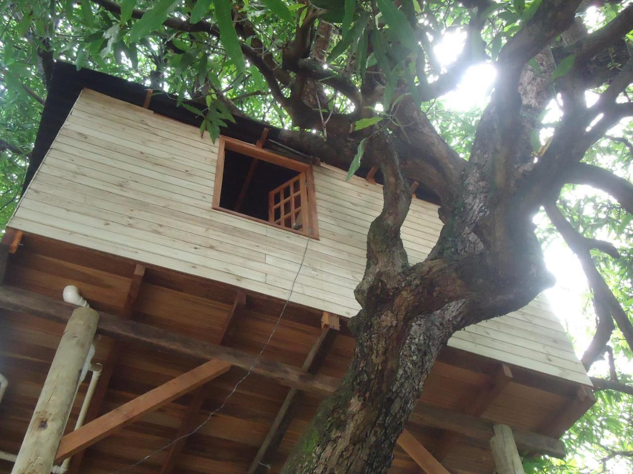 Casa Na Arvore Salwador Zewnętrze zdjęcie
